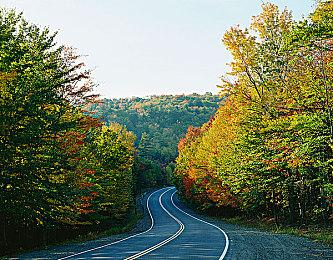 《超越善恶》20周年纪念版包含对已故设计师的致敬